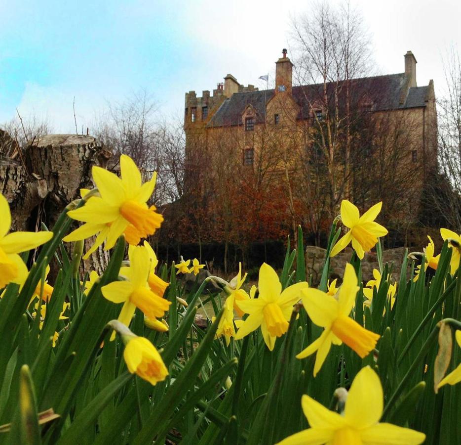 The Manor At Plane Castle Villa ฟัลเคิร์ก ภายนอก รูปภาพ